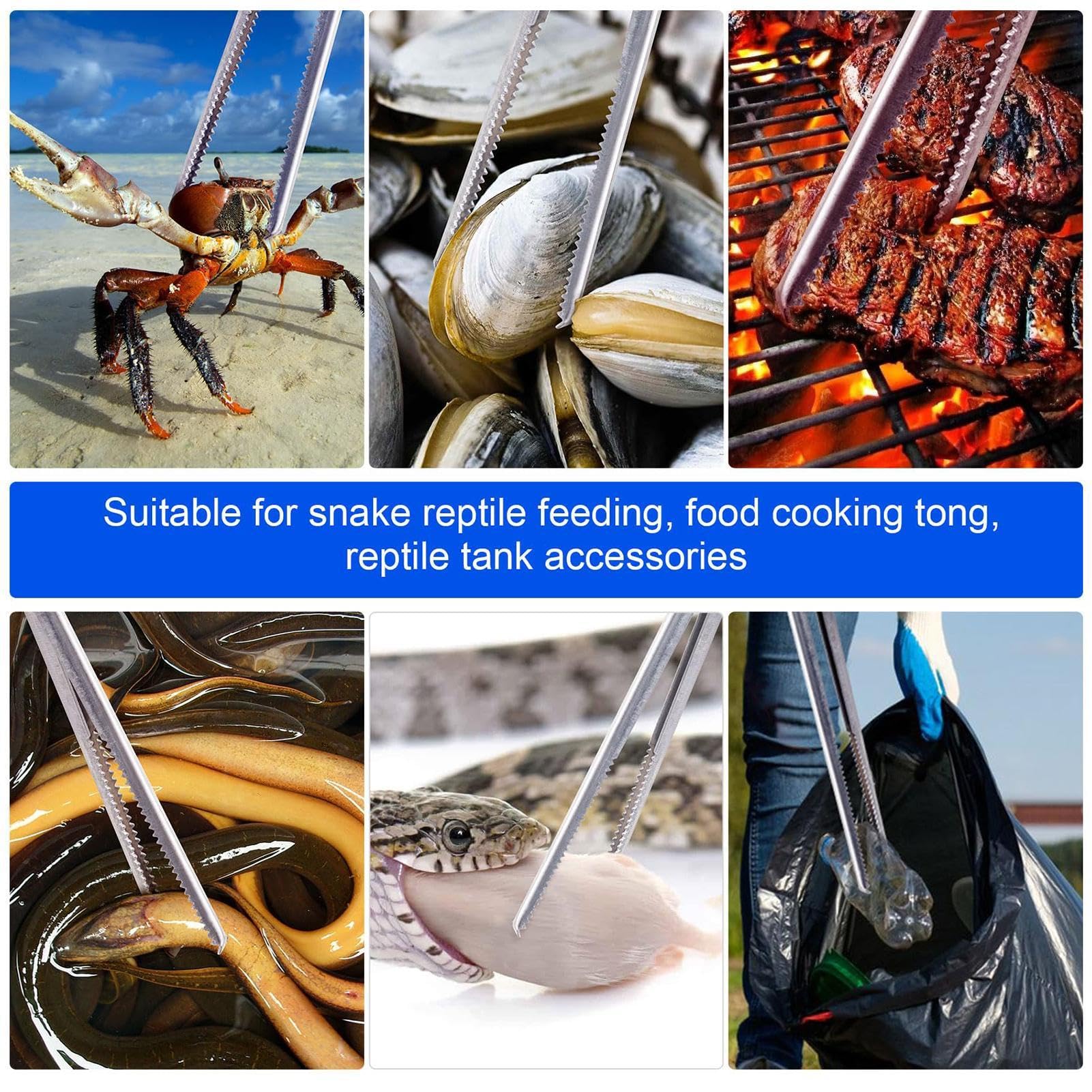 Amazon | ステンレス鋼の爬虫類給餌ツール、爬虫類給餌トング - 15